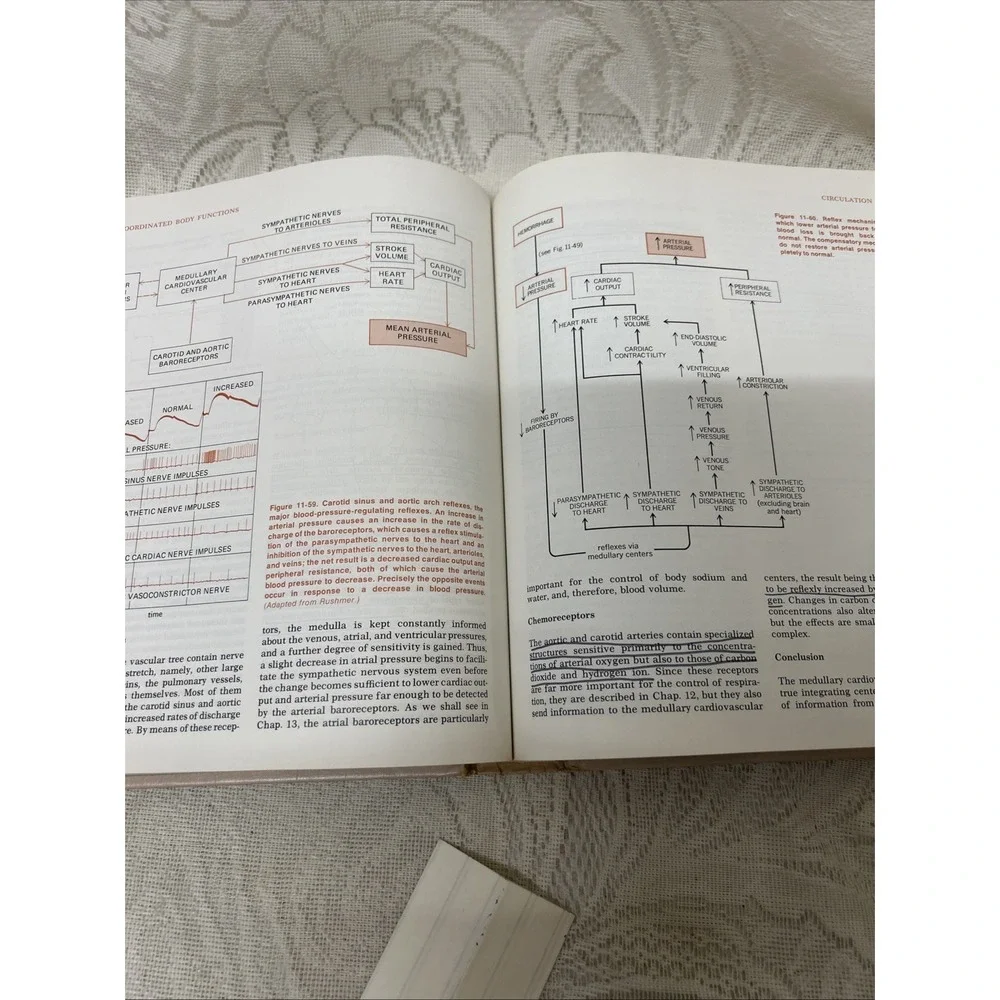 Human Physiology Mechanisms Of Body Function Third Edition Vander Sherman Lucian - Picture 10 of 12